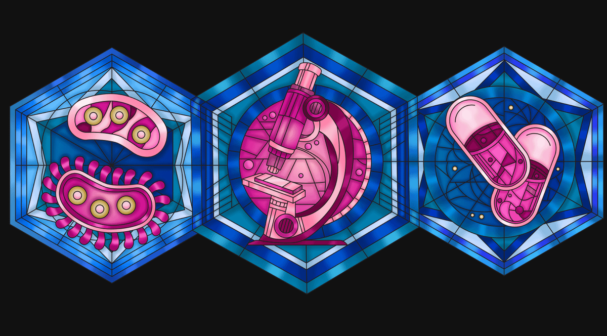 Catalyst Quests: Complete Activities, Earn XP, and Shape the Future of Science Funding